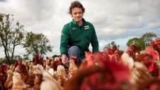 70% of the emissions associated with UK animal agriculture can be attributed to feed. Image: Morrisons
